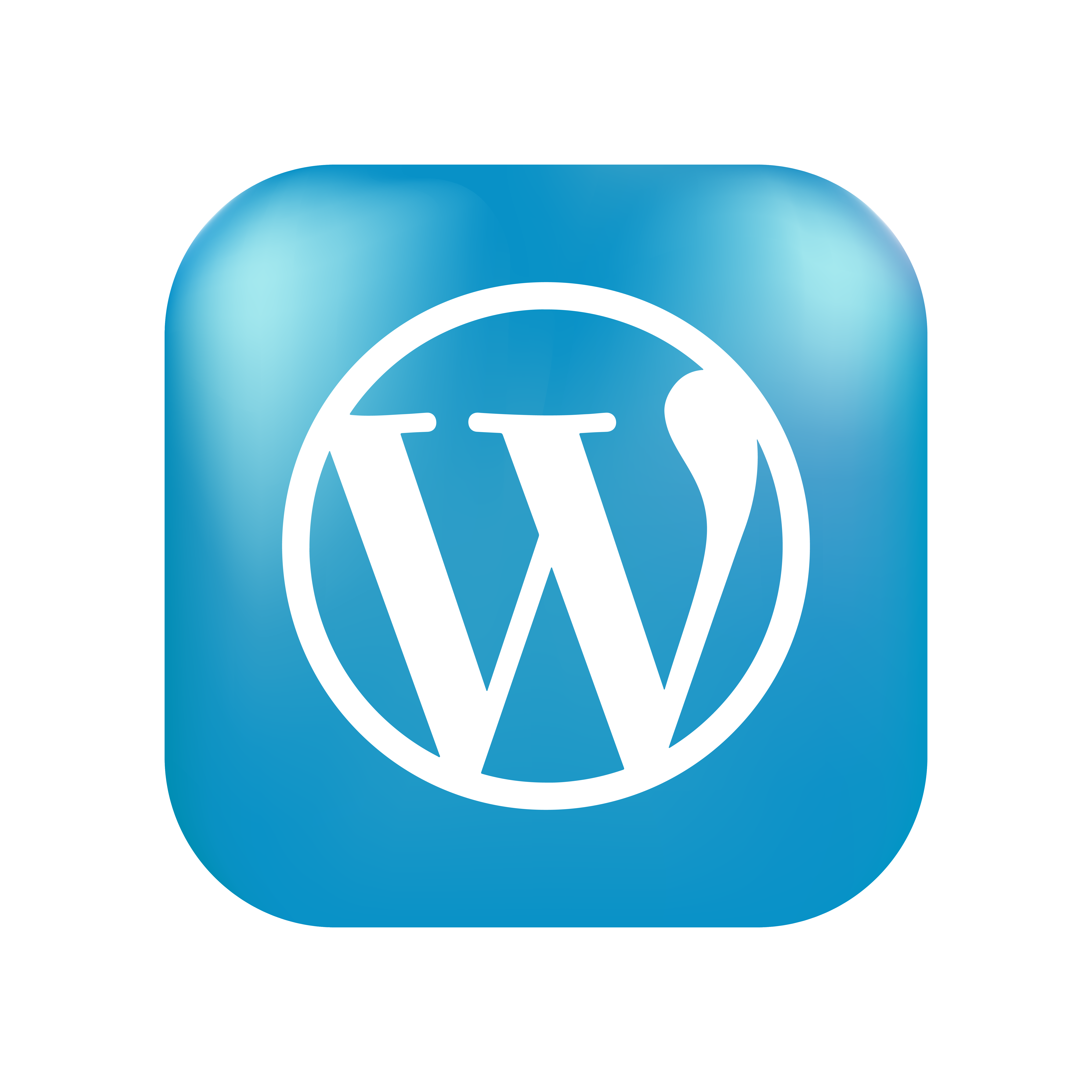 WordPress